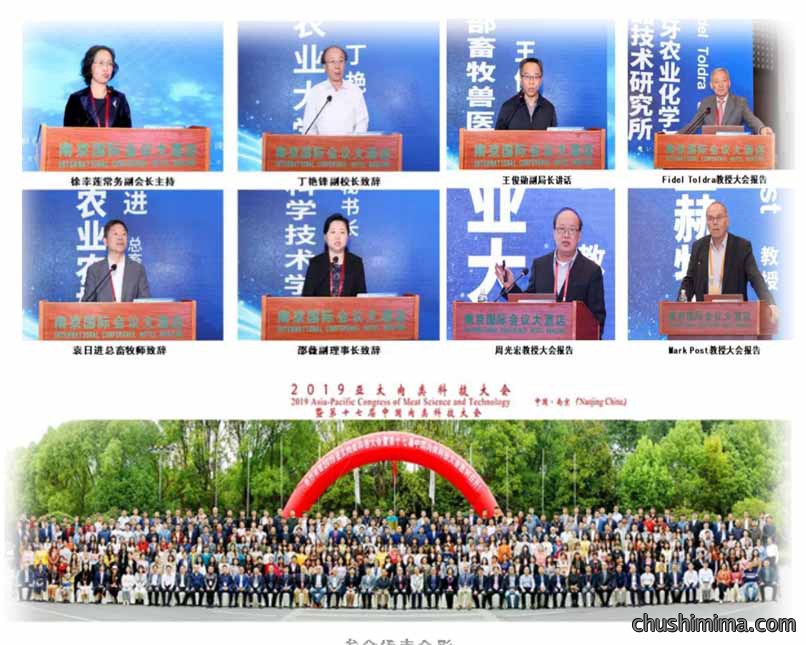 德国麦特斯应邀参加亚太肉类科技大会 德国麦特斯应邀参加亚太肉类科技大会