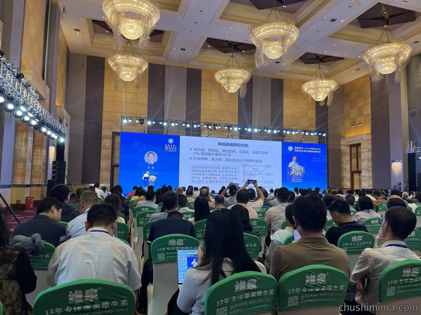 金鸡论坛—2023家禽种业创新与发展大会 金鸡论坛—2023家禽种业创新与发展大会