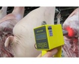 胴体肉质颜色测定仪德国MATTHAUS麦特斯中国
