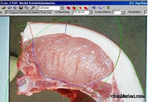 肉质品质检测视频