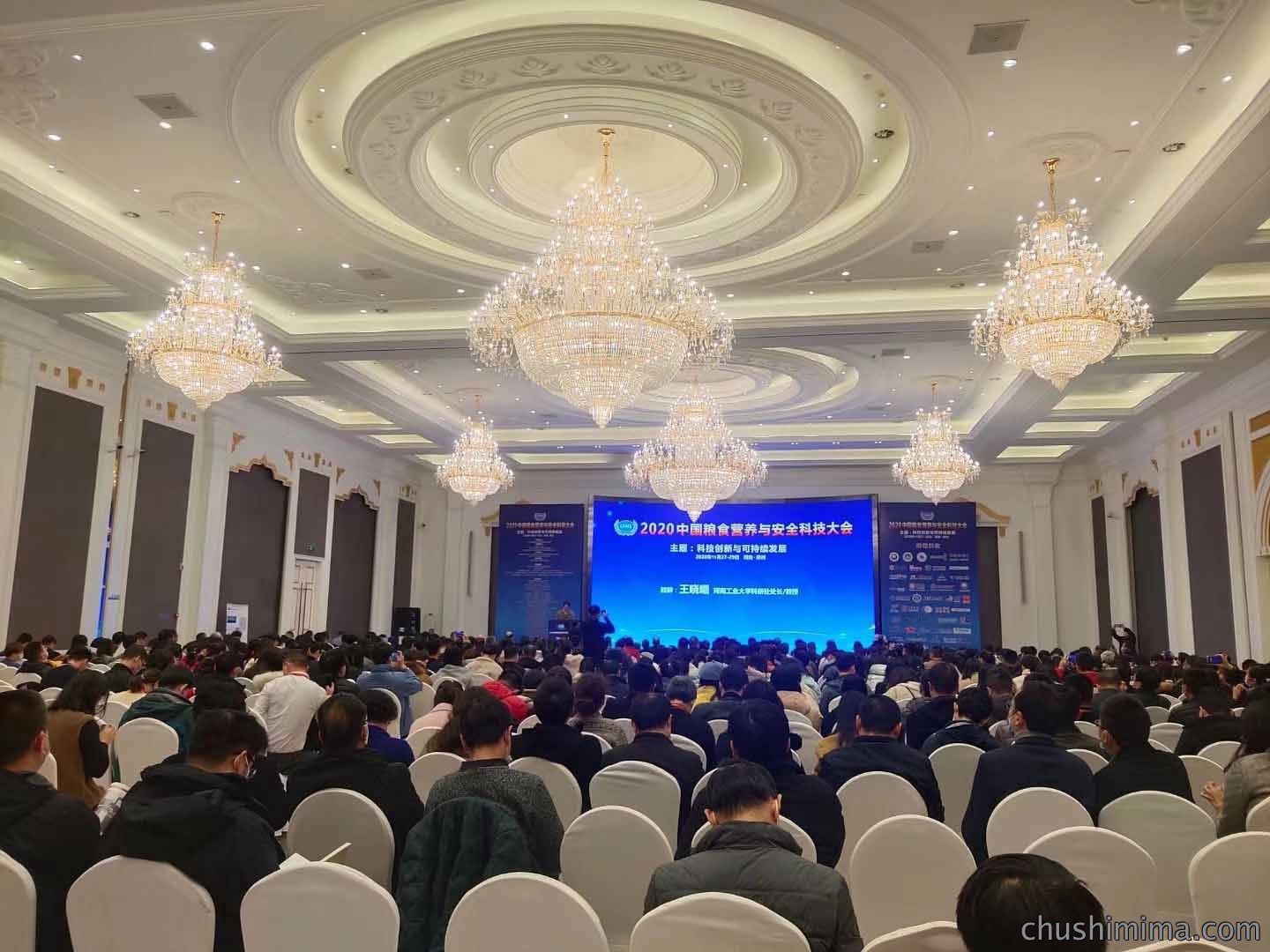 天翔飞域助力《2020中国粮食营养与安全科技大会》