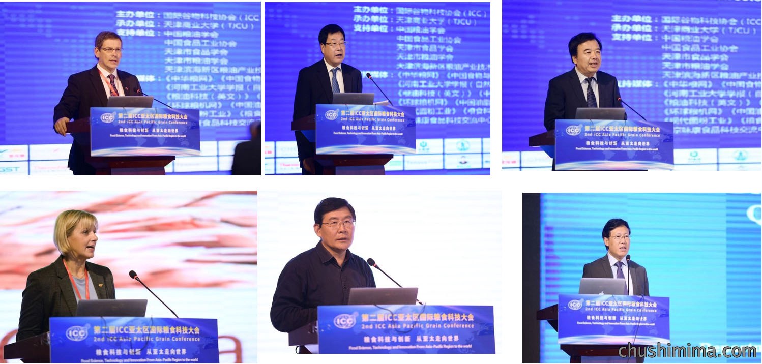 天翔飞域助力第二届ICC亚太区国际粮食科技大会 天翔飞域助力第二届ICC亚太区国际粮食科技大会
